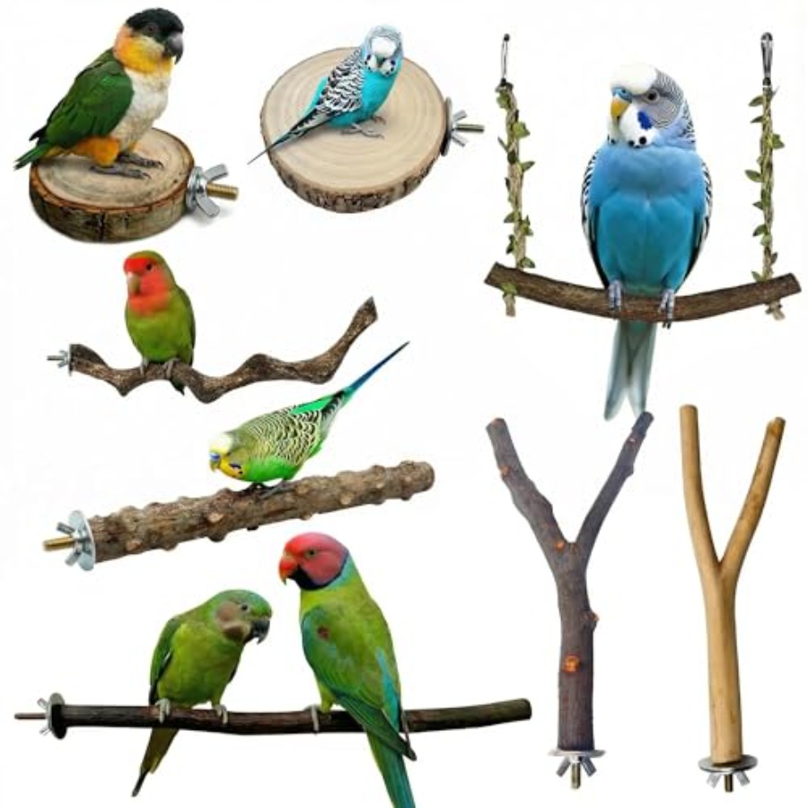 Health & Wellness Photos - 8PCS tempat bertengger burung dari kayu
