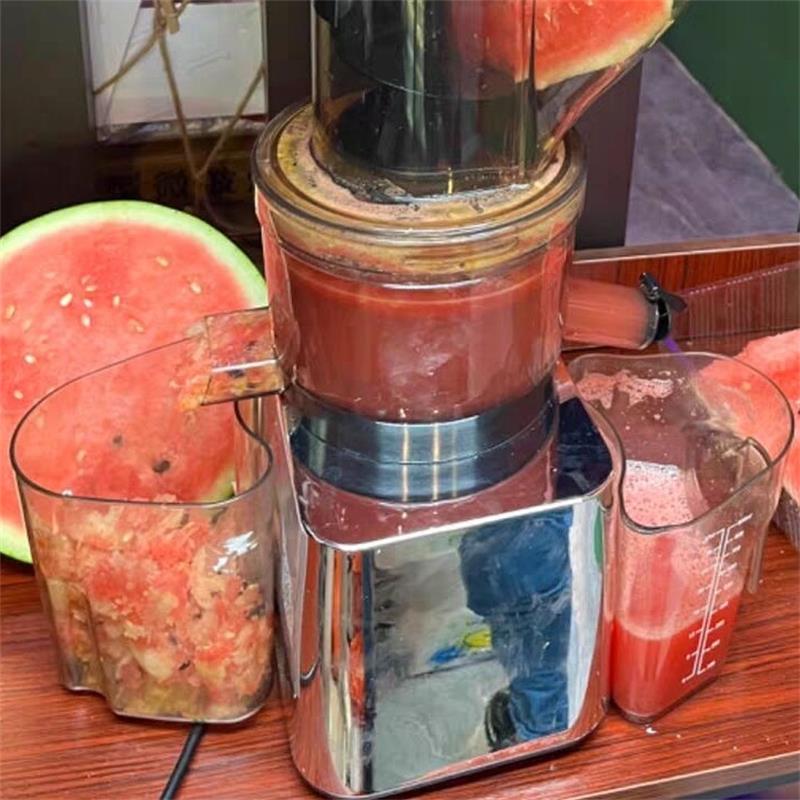 Cold Press Juicer - Mesin Ekstraktor Jus Masticating 500W untuk