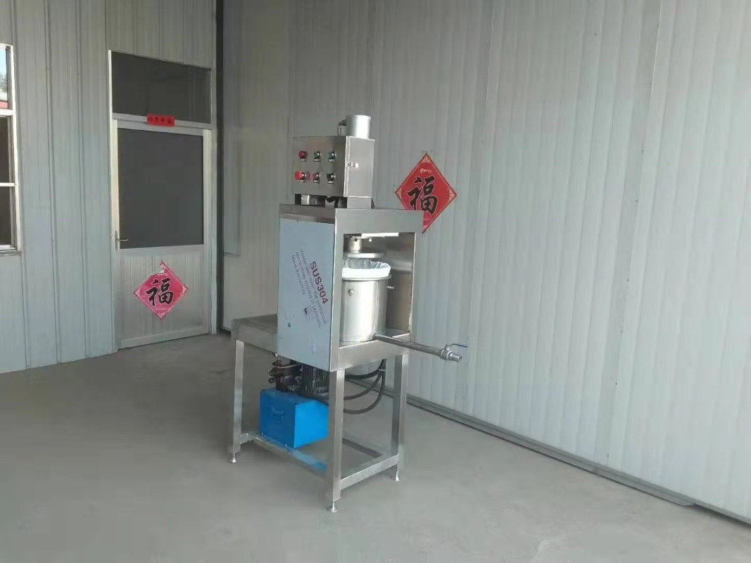 2026Peralatan Pemeras Anggur O - Cold Press Juicer ulasan dan harga