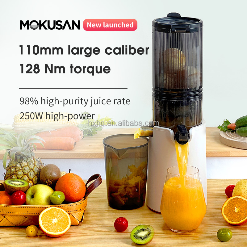 Mesin Pembuat Jus Cold Press B - Cold Press Juicer ulasan dan harga
